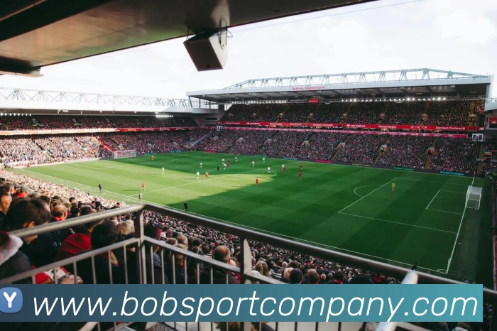 BOB足球平台生态图